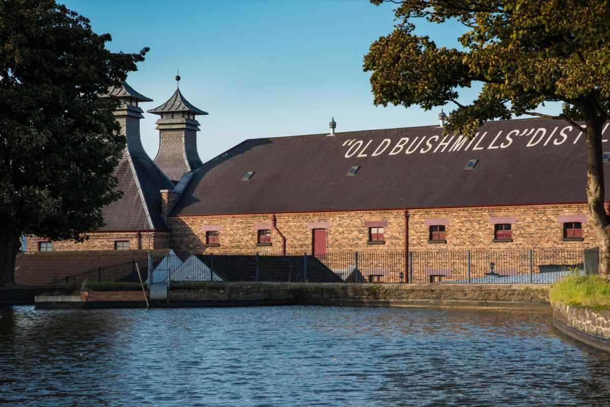 Somerset House Coleraine Exterior foto